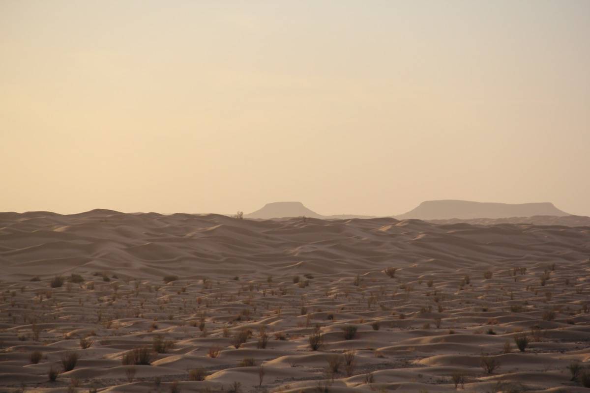 "Sif es Souan - Les Grandes Dunes de Tunisie"