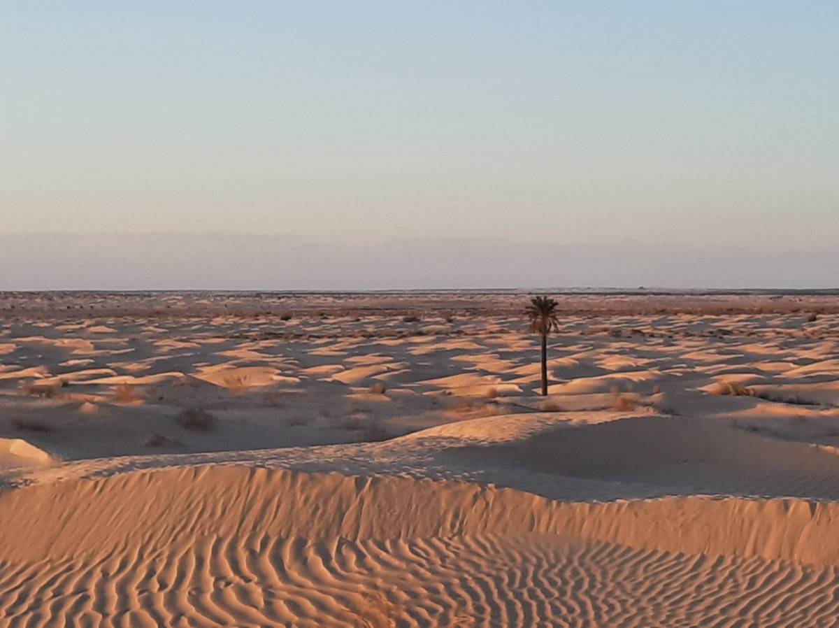 "Sif es Souan – Les Grandes Dunes de Tunisie"