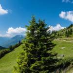 npl-overland-offroad-tour-abenteuer-montenegro-2018 (174)