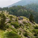 npl-overland-offroad-tour-abenteuer-montenegro-2018 (78)