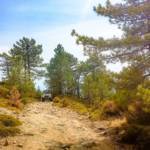 npl-overland-offroad-tour-corsica-2018 (89)