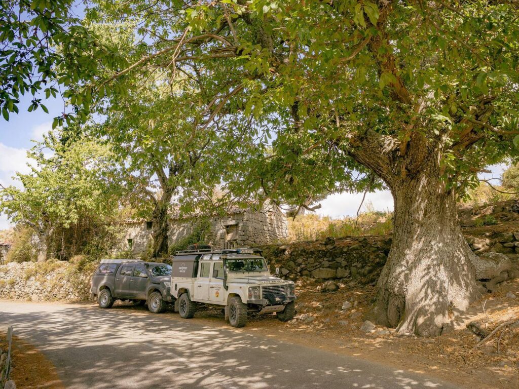 npl-overland-offroad-tour-corsica-2018 (20)