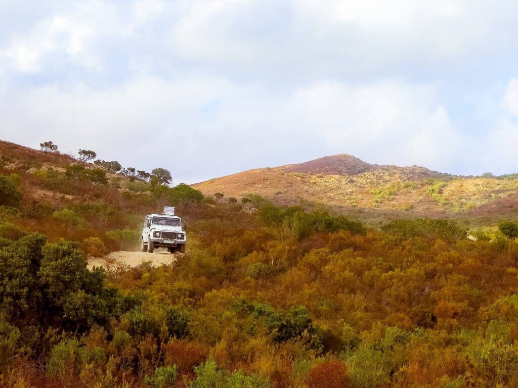 npl-overland-offroad-tour-korsika-2018 (39)