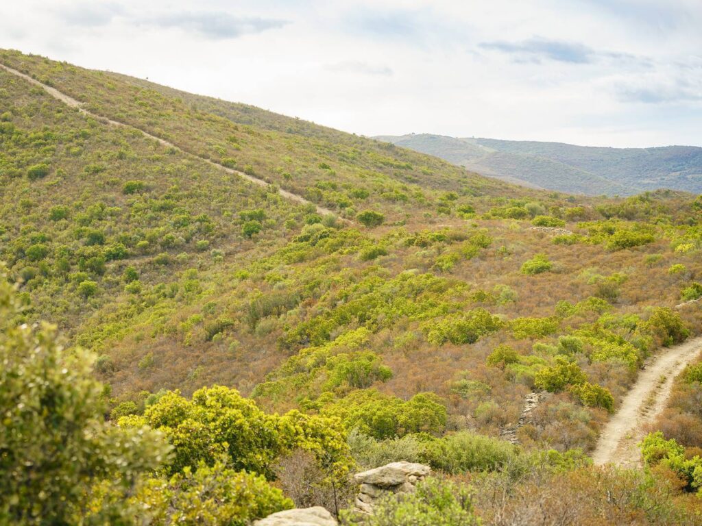 npl-overland-offroad-tour-corsica-2018 (9)