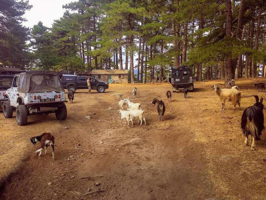 npl-overland-offroad-tour-korsika-2018 (95)