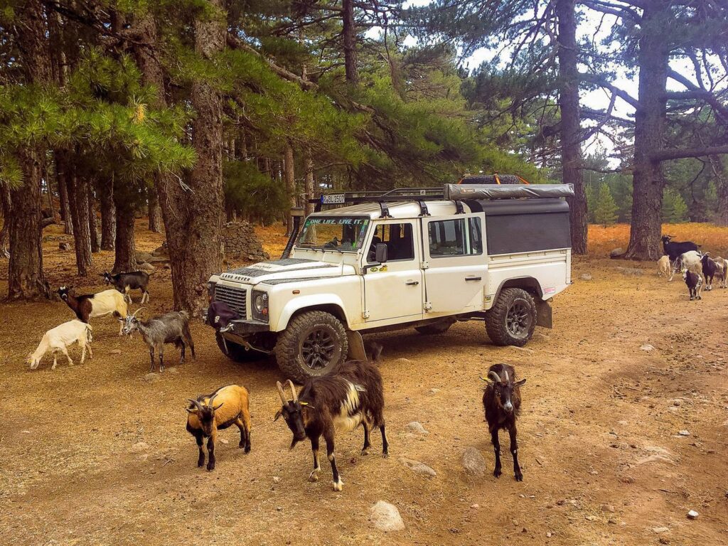 npl-overland-offroad-tour-korsika-2018 (96)